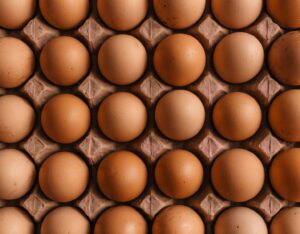 A grid of brown chicken eggs in a molded cardboard carton
