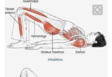 필라테스가 복부 내장지방 감소에 미치는 영향