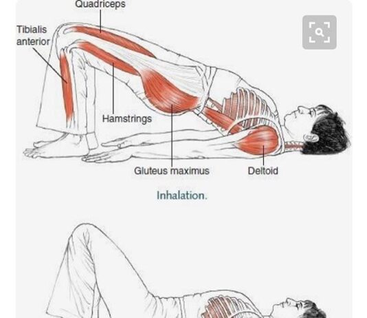 필라테스가 복부 내장지방 감소에 미치는 영향