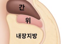 단기간 다이어트 비법은?