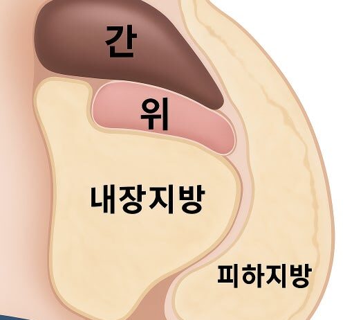 단기간 다이어트 비법은?
