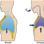 필라테스 호흡, 흉곽호흡이란?