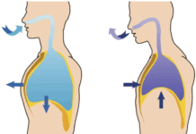 필라테스 호흡, 흉곽호흡이란?