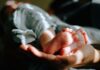난임 케어, 건강한 임신 준비의 시작… 필라테스가 주목받는 이유 person holding baby feet