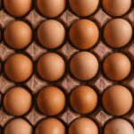 단백질 섭취의 중요성, 건강한 생활을 위한 기본 영양소 A grid of brown chicken eggs in a molded cardboard carton