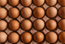단백질 섭취의 중요성, 건강한 생활을 위한 기본 영양소 A grid of brown chicken eggs in a molded cardboard carton