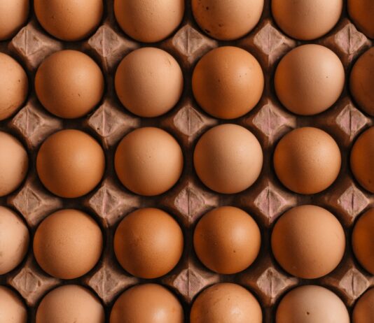 단백질 섭취의 중요성, 건강한 생활을 위한 기본 영양소 A grid of brown chicken eggs in a molded cardboard carton
