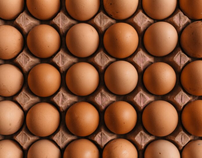A grid of brown chicken eggs in a molded cardboard carton